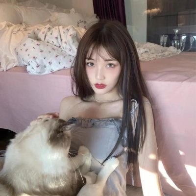 狮路历程