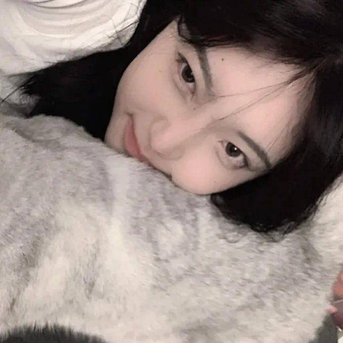 疯狂巨齿鲨