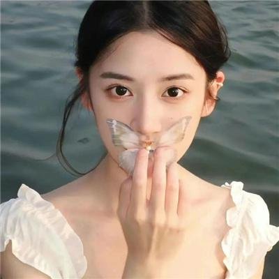 米奇和海豹